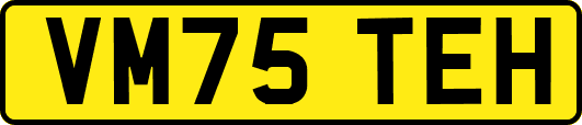 VM75TEH