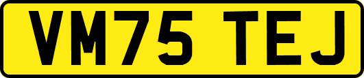 VM75TEJ