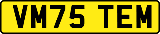 VM75TEM