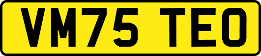 VM75TEO