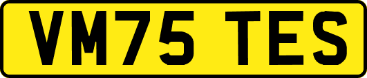 VM75TES
