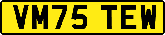 VM75TEW