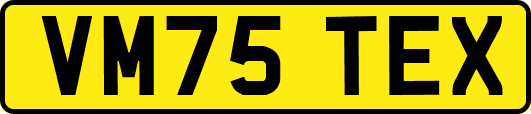 VM75TEX
