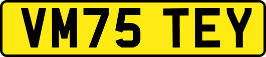 VM75TEY