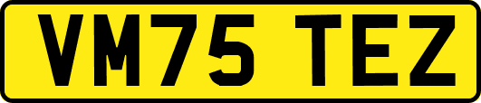 VM75TEZ