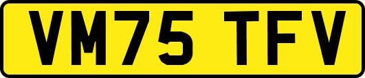 VM75TFV
