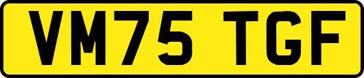 VM75TGF