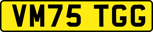 VM75TGG