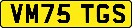 VM75TGS