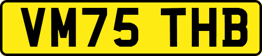VM75THB