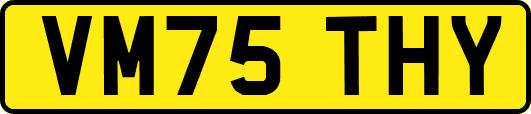 VM75THY
