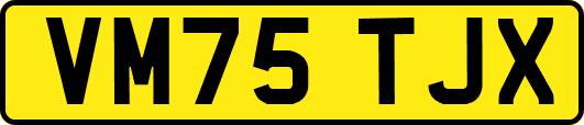 VM75TJX
