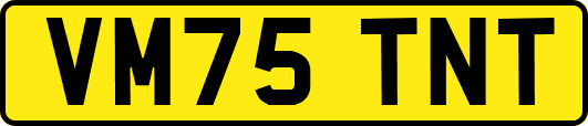 VM75TNT