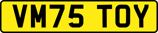 VM75TOY