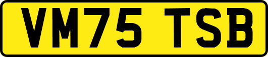 VM75TSB