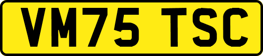VM75TSC