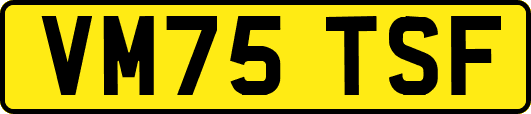 VM75TSF