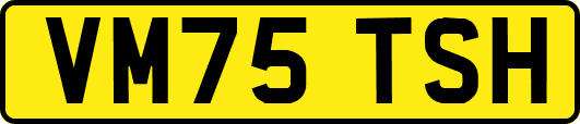 VM75TSH
