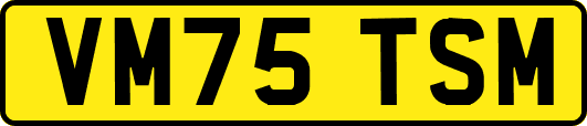 VM75TSM