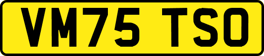 VM75TSO