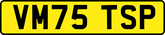 VM75TSP
