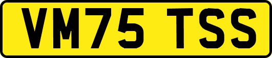 VM75TSS