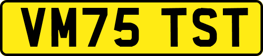 VM75TST