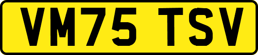 VM75TSV