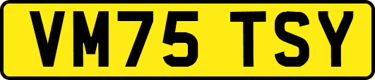 VM75TSY