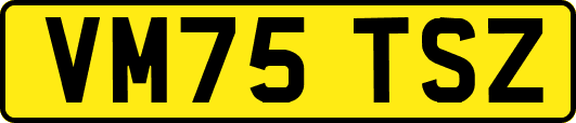 VM75TSZ