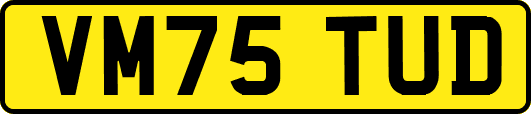 VM75TUD