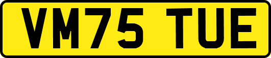 VM75TUE
