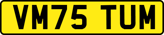 VM75TUM