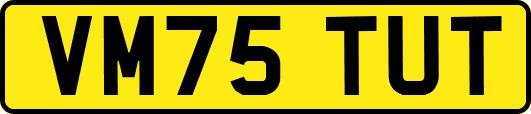 VM75TUT