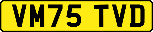 VM75TVD