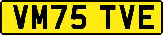 VM75TVE