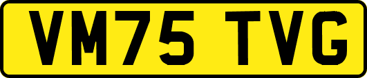 VM75TVG