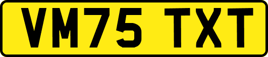 VM75TXT