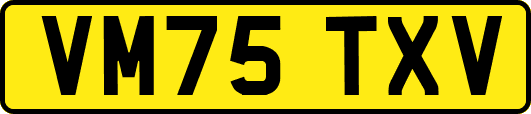VM75TXV