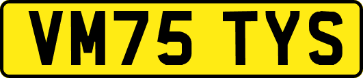 VM75TYS