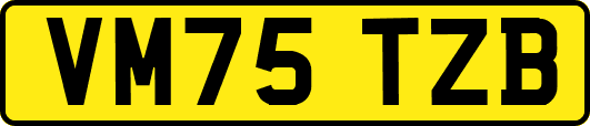 VM75TZB