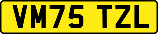 VM75TZL