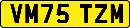VM75TZM