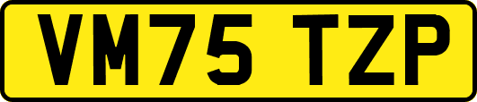 VM75TZP