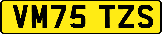 VM75TZS