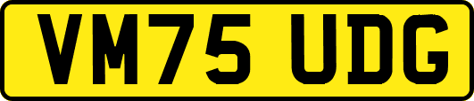 VM75UDG