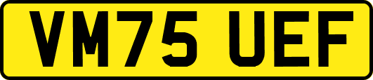 VM75UEF