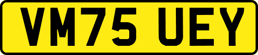 VM75UEY