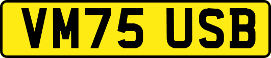 VM75USB