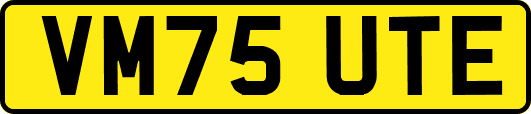 VM75UTE